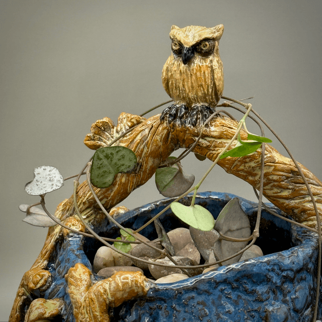 Night owl on the vine