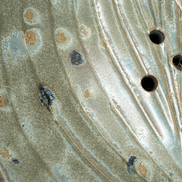 Hosta leaf soapdish