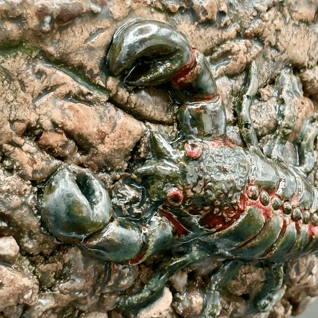 Scorpion crackpot