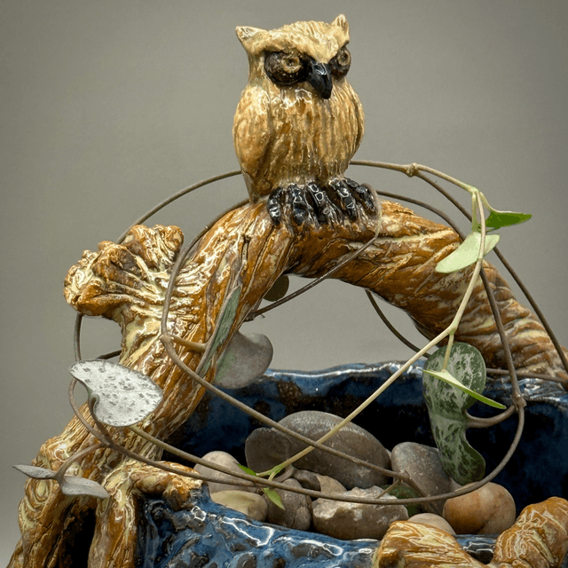 Night owl on the vine