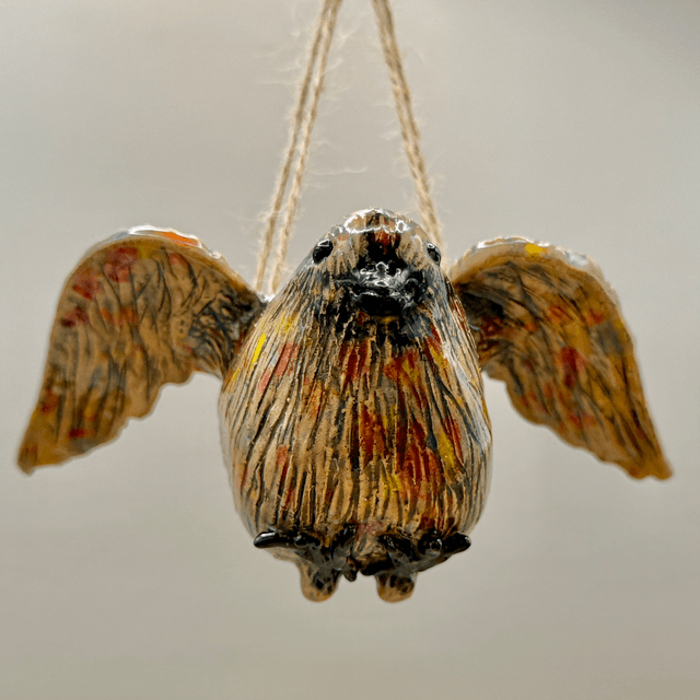 Flying bird air plant basket