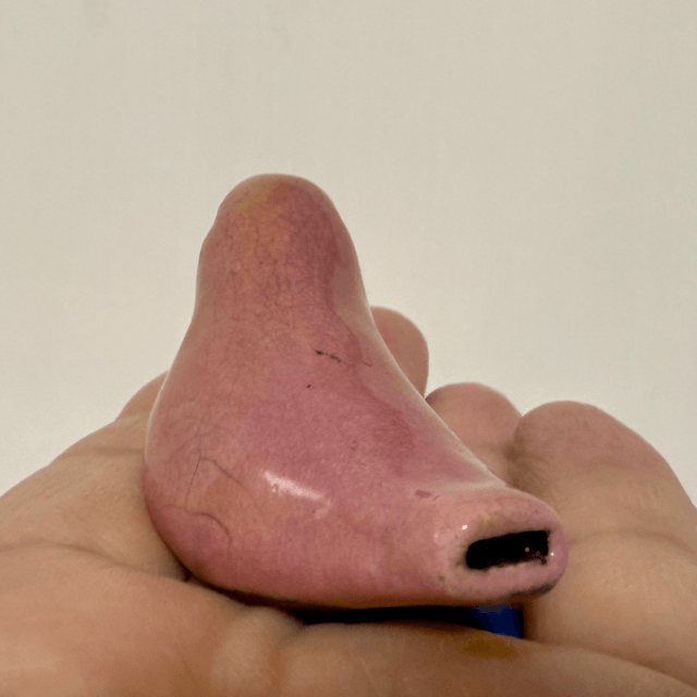 Small pink bird whistle