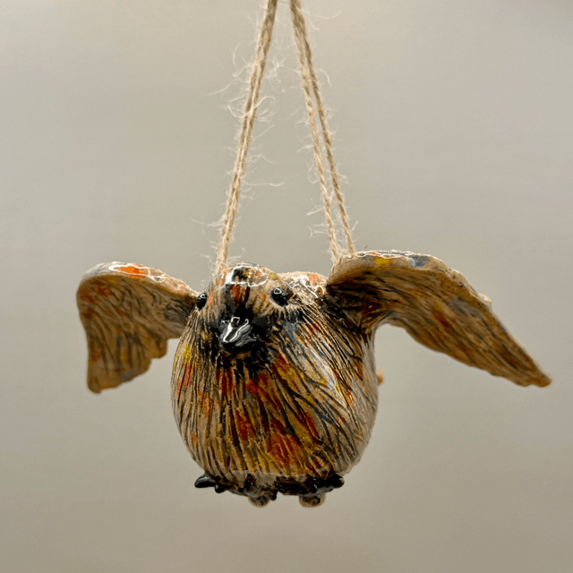 Flying bird air plant basket