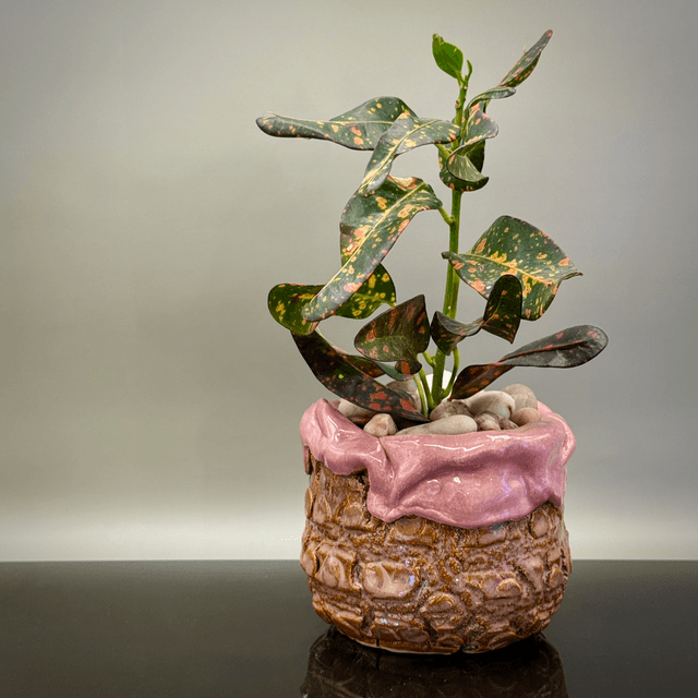 Cracks and silk pink crackpot