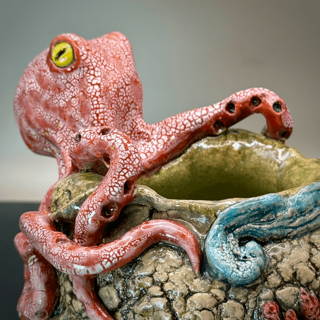 Octopus reef crack pot