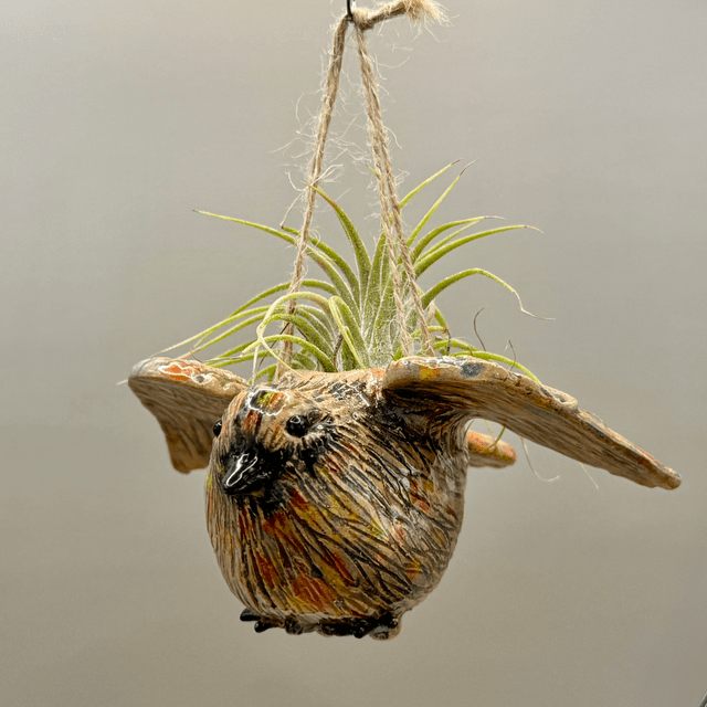 Flying bird air plant basket