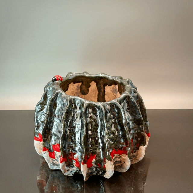 Ladybird ceramic pot