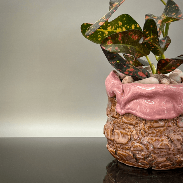 Cracks and silk pink crackpot