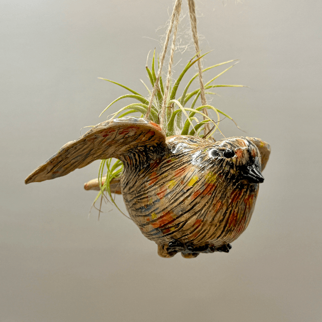 Flying bird air plant basket