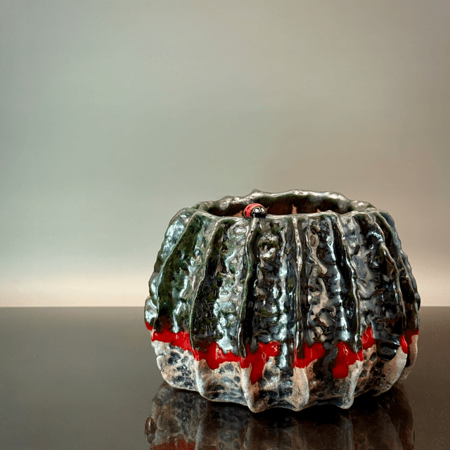 Ladybird ceramic pot